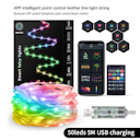 5M-10M-20M-Fairy-String-Lights-Dreamcolor-USB-LED-String-Lights-Smart-Christmas-Lights-DIY-Picture.jpg_640x640.jpg_.png