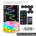 5M-10M-20M-Fairy-String-Lights-Dreamcolor-USB-LED-String-Lights-Smart-Christmas-Lights-DIY-Picture.jpg_640x640.jpg_ (2).png